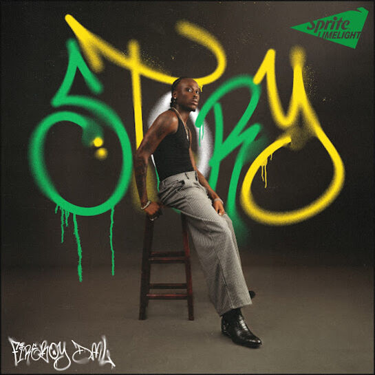 Fireboy DML - Story Ft. Take A Daytrip